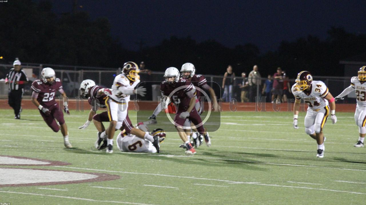 Enzo Fernandez avatar