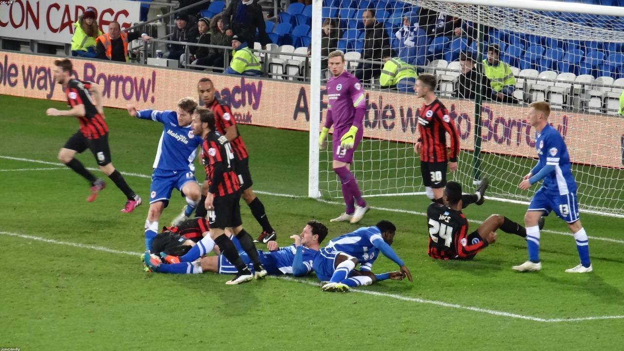 Belgium vs United States